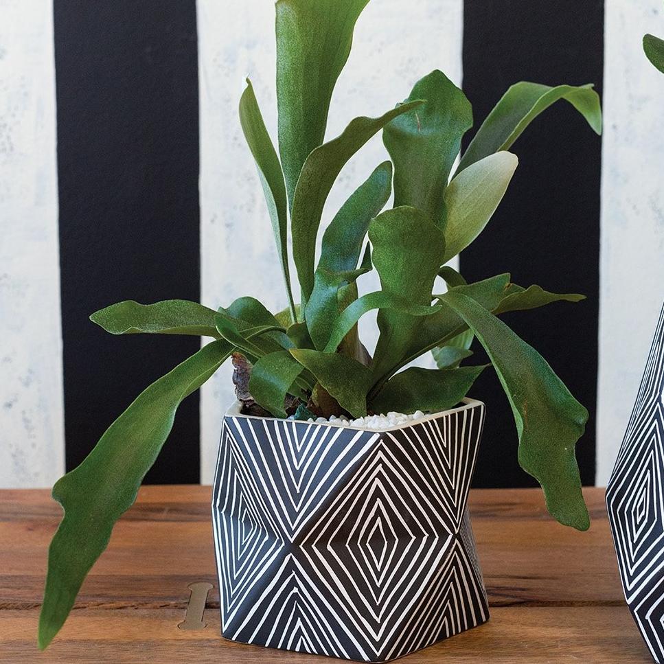 Kuma Pottery - Accessories - Black Rooster Maison